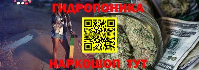 шишки Малгобек