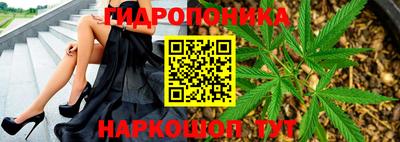 шишки Малгобек