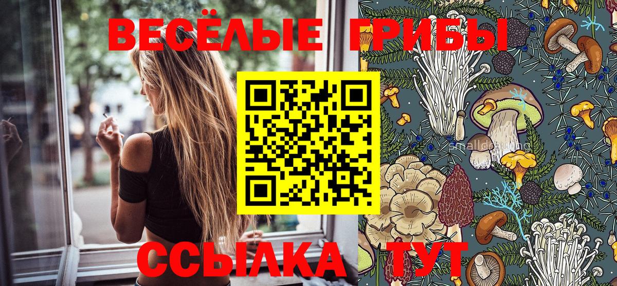 Галлюциногенные грибы Psilocybe Гусь-Хрустальный